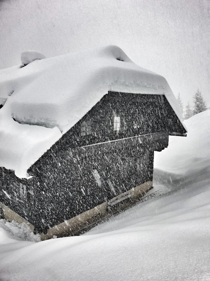 Das Bergerleben Sonnenalpe Nassfeld Luaran gambar
